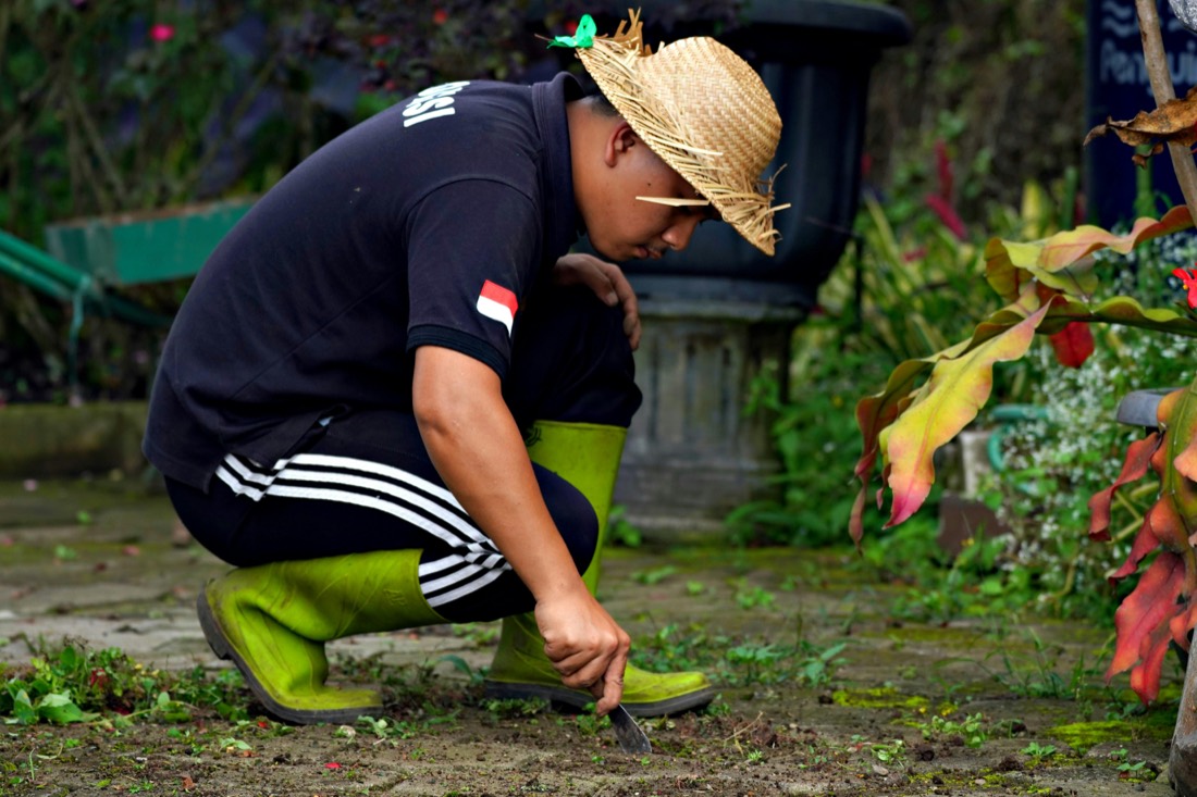 Gartenarbeit